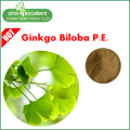 Flavonas naturales 24% extracto de hoja de Ginkgo Biloba